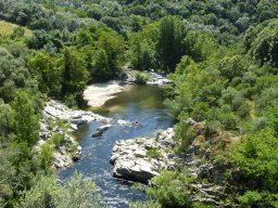 Bild16